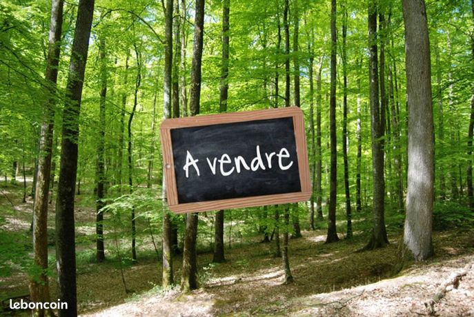 https://img.leboncoin.fr/api/v1/lbcpb1/images/0e/7b/64/0e7b6472ae7e614f99271072e685ad8a6273e89f.jpg?rule=ad-image