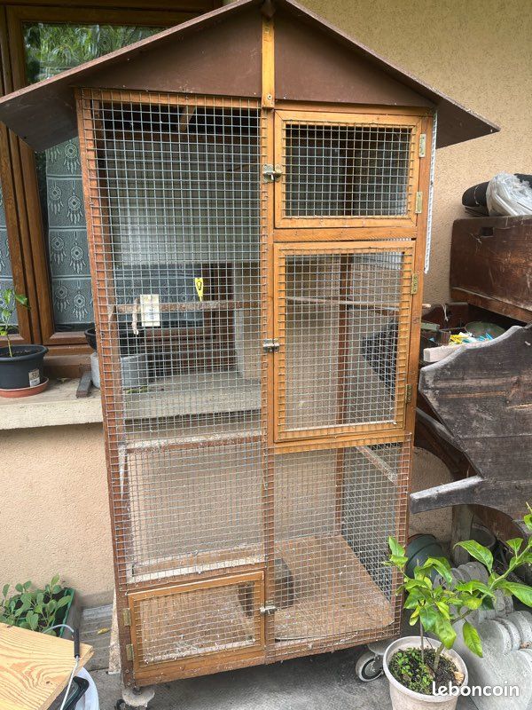 Cage oiseaux (image 2)