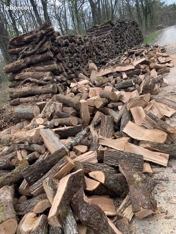 Bois (image 5)