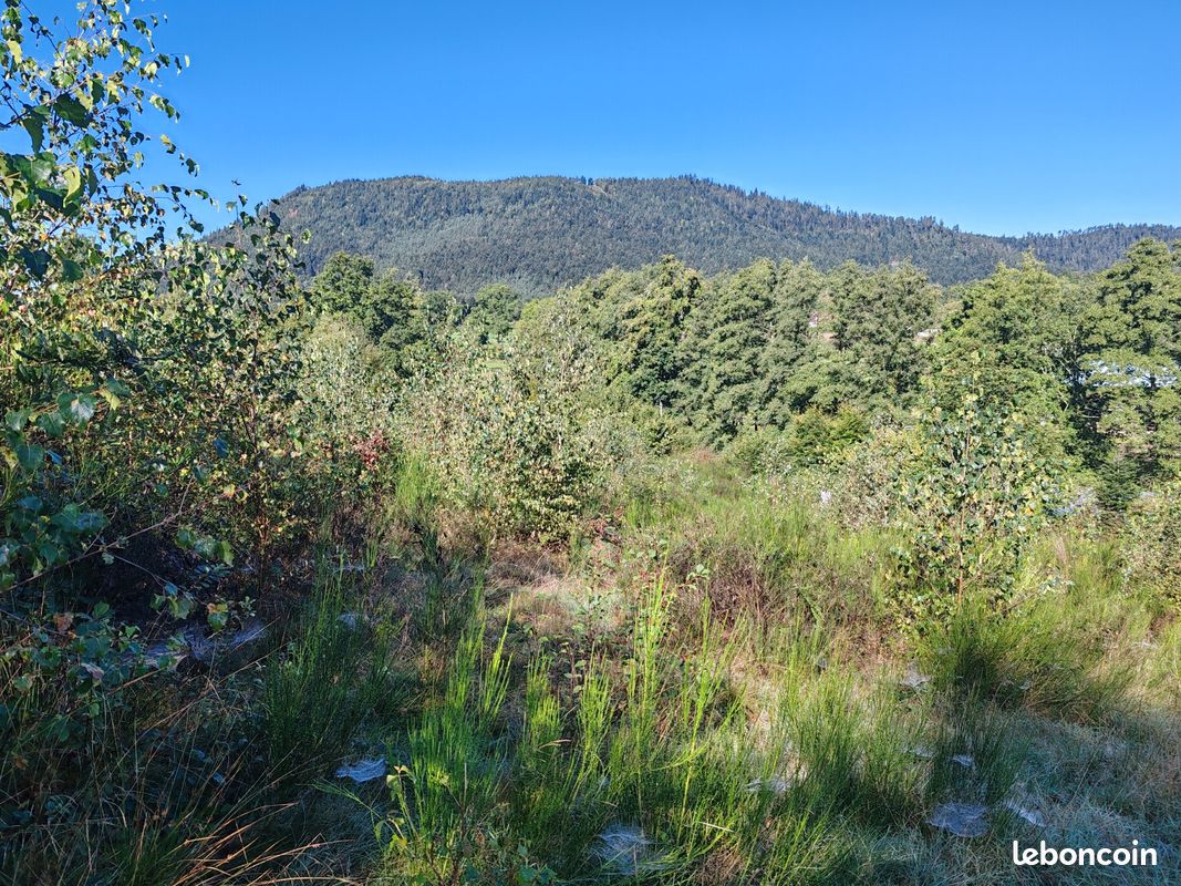 Terrain 1406 m² Saulcy-sur-Meurthe (image 3)