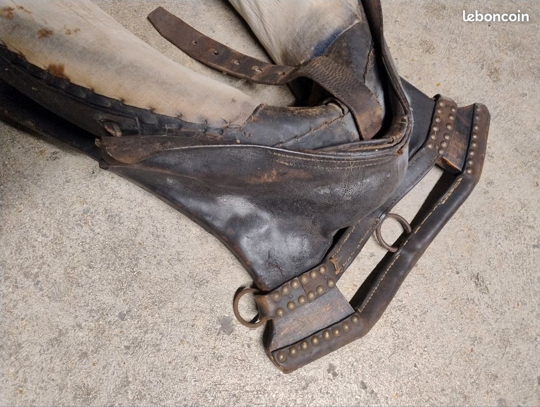 Cob, Nero: Vachette Gagnante En Cuir Tubulaire Avec Boucles En Laiton Chrome Winner 73321295