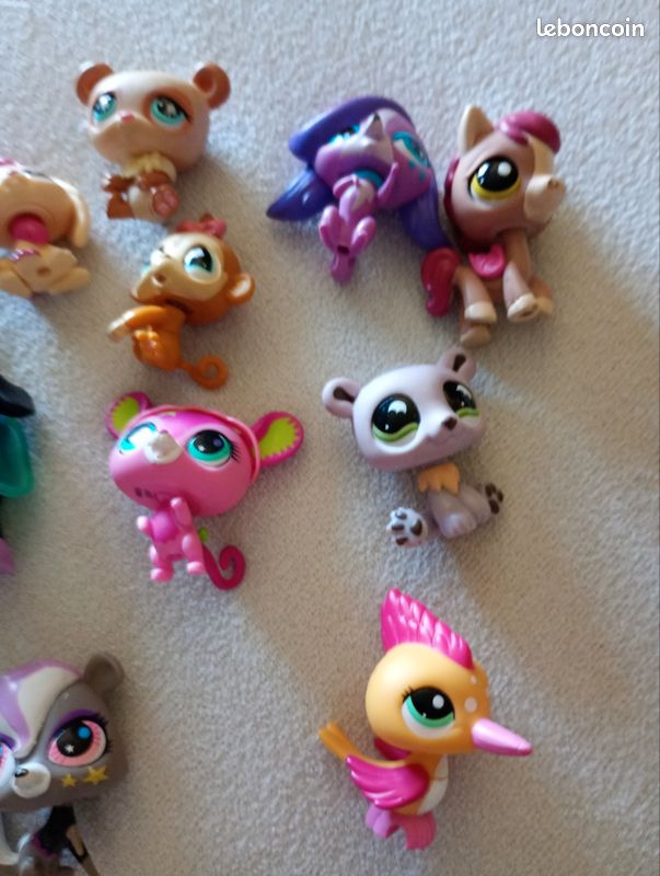 Petshop (image 4)