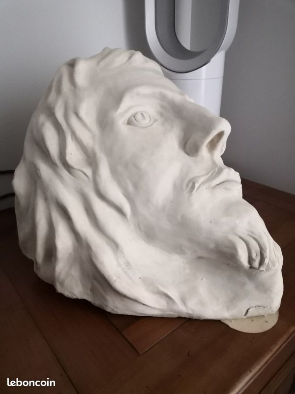 Le visage du C.... En plâtre (image 2)