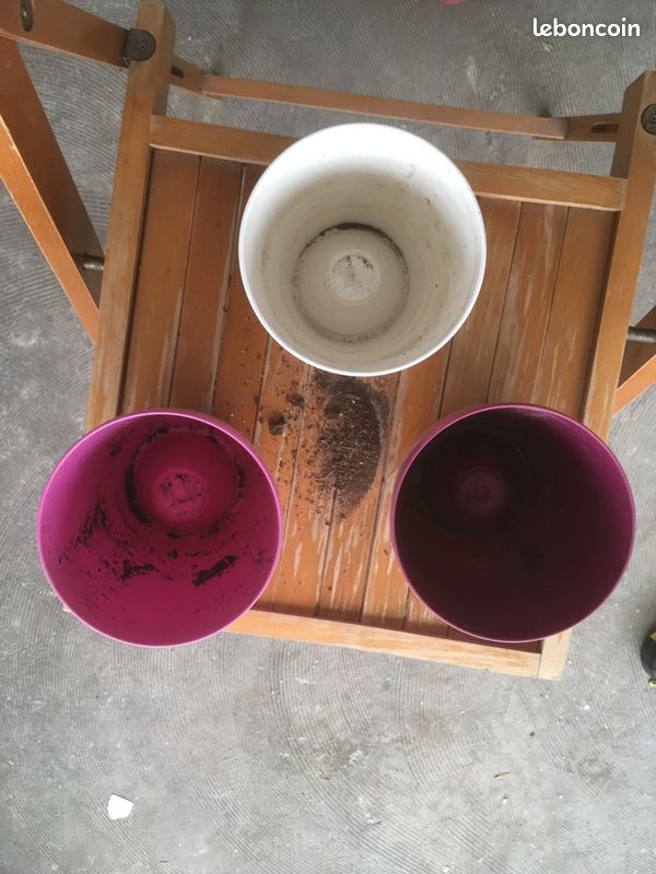 Cache pot spécial orchidée Elho avec fond bombé (image 6)
