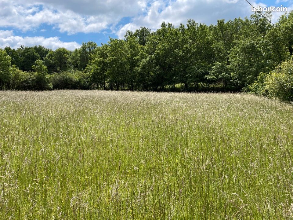 Terrain 3 250 m² Castres · 120 000 €