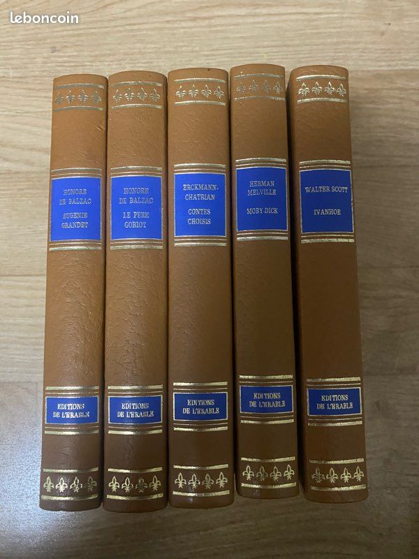 Livre rare lot de 32 livre éditions de l’érable (image 8)