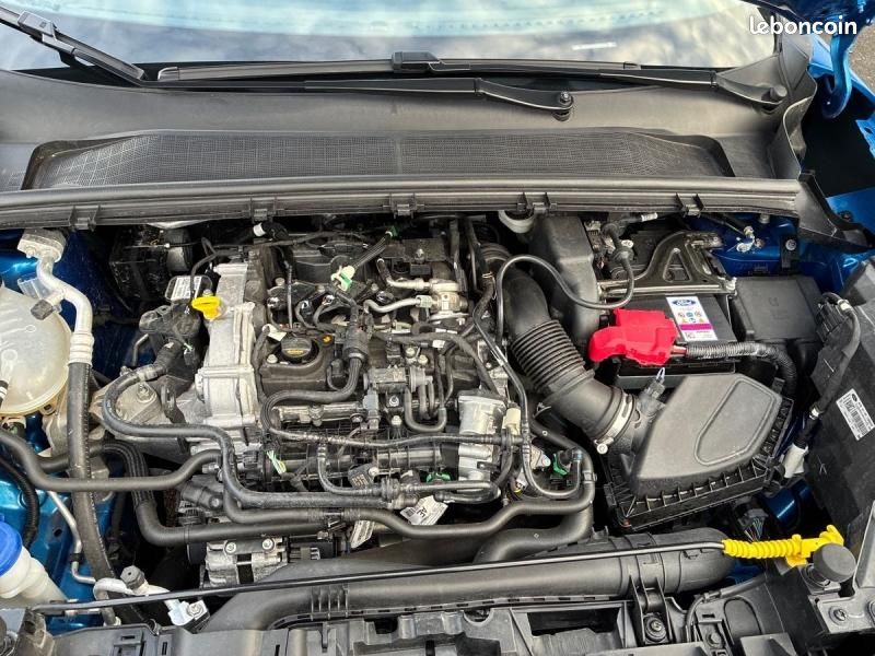 Ford Puma 1.0 Flexifuel 125ch S&S mHEV Titanium Business (image 27)