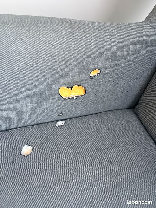Fauteuil (image 3)