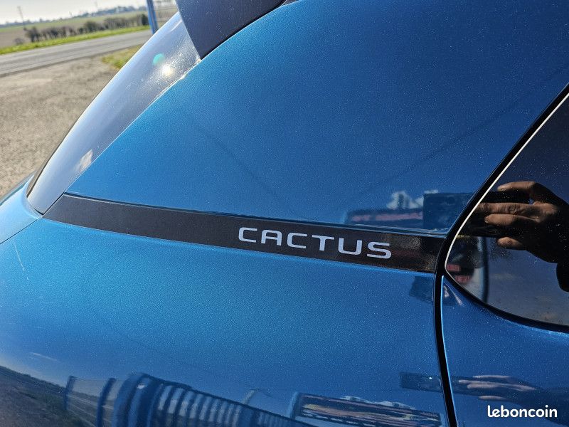 Citroen C4 CACTUS 110CH S&S FEEL BUSINESS (image 19)
