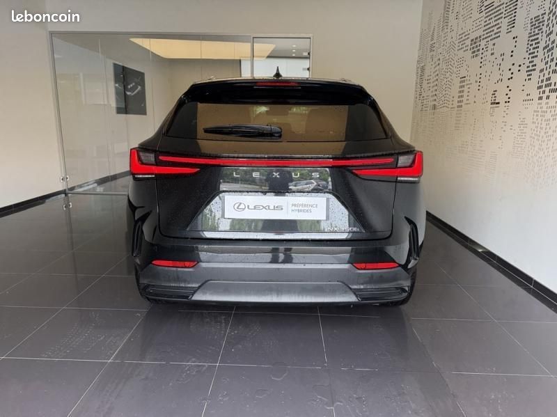 Lexus NX 350h Luxe 2WD MY24 (image 11)
