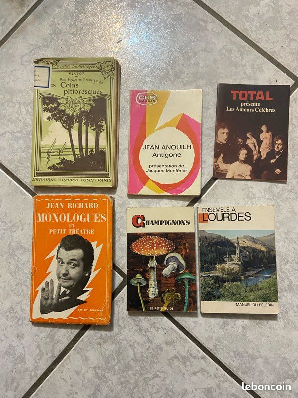 Lot de 6 livrets et livres anciens – curiosités vintage (image 1)