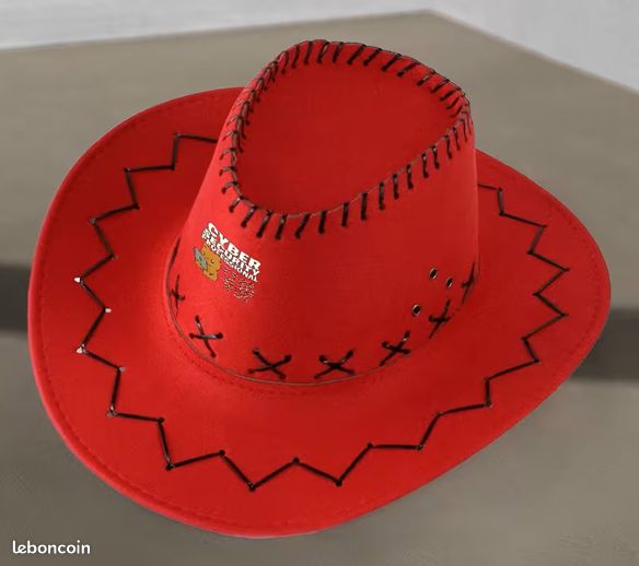 Chapeau style stetson (image 3)
