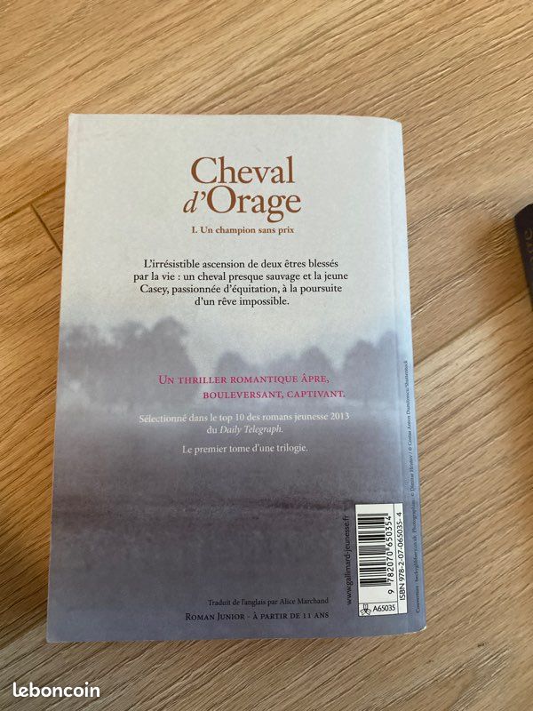 Cheval d’Orage tome 1 et 2 (image 2)