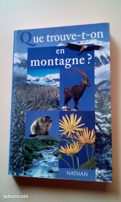 Que trouve t'on en montagne (image 1)