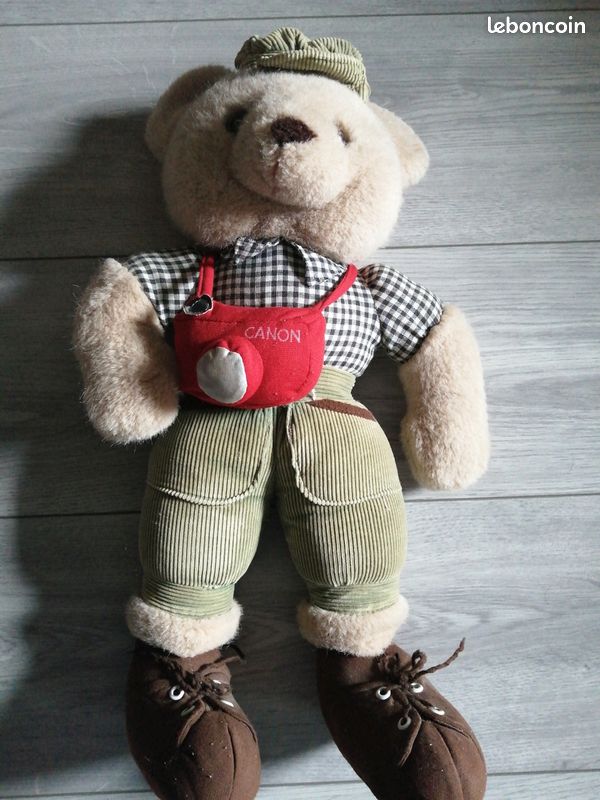 Ours en peluche (image 1)
