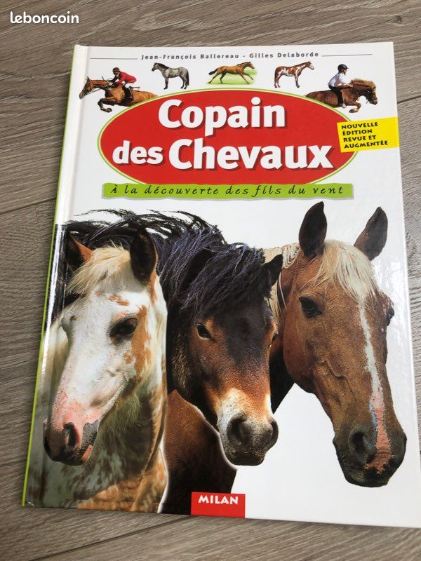 Copain des chevaux (image 2)
