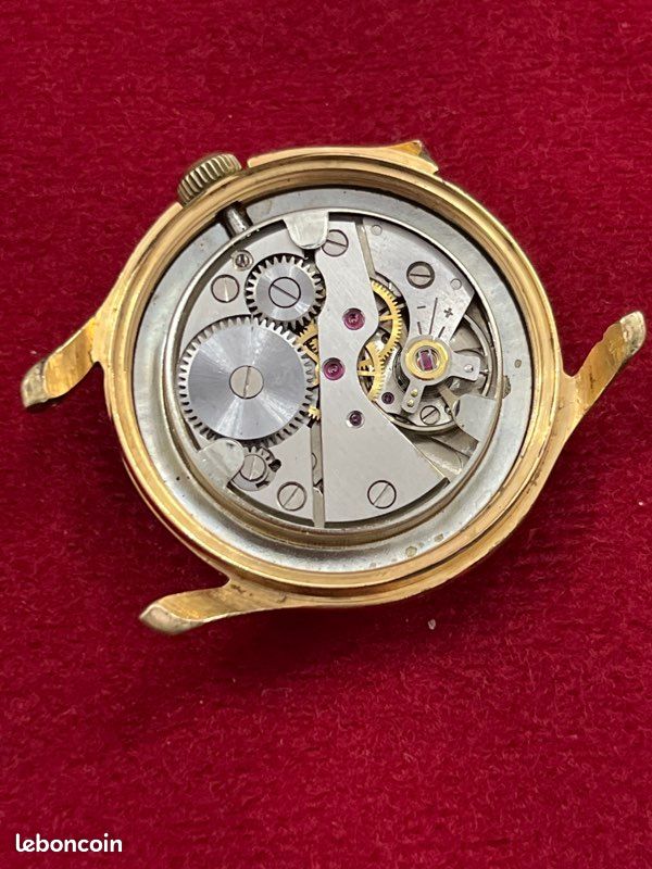 Montre doufine (image 2)
