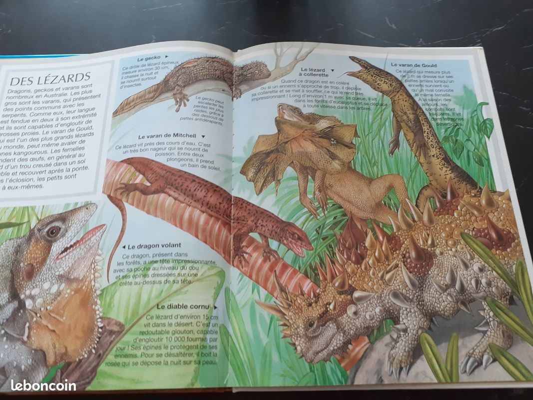 6 Livres les aminaux (image 8)