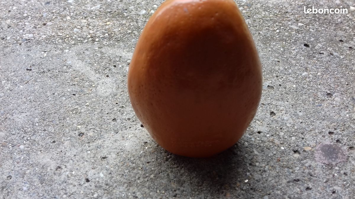 Patate (image 2)