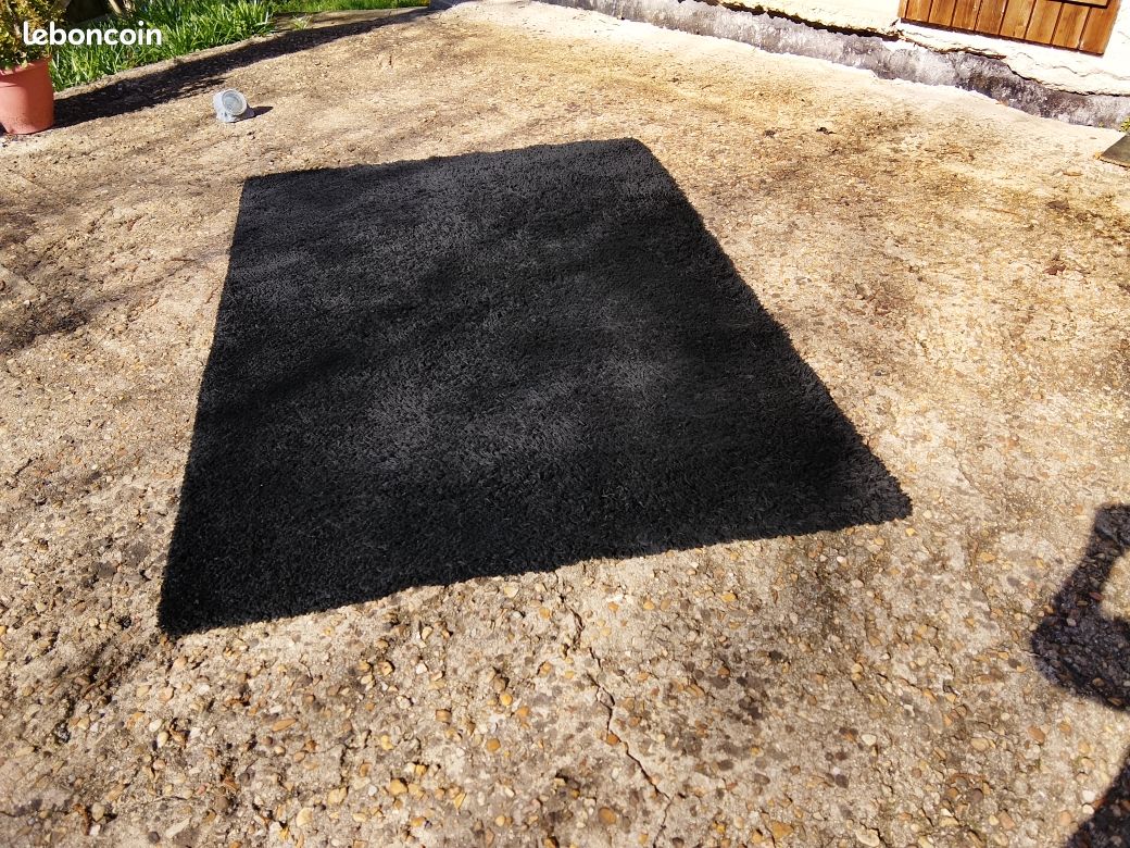 Tapis de salon (image 2)
