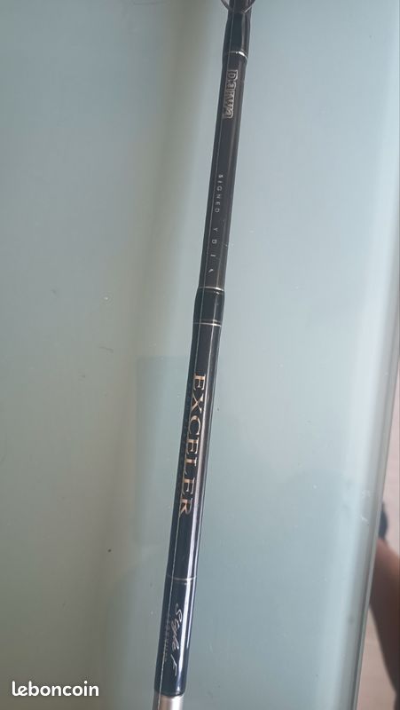 Canne casting Daiwa exceler (image 2)