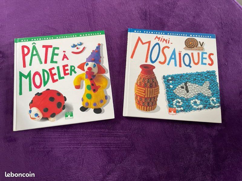Lot de deux livres d’activitées manuelles (image 1)