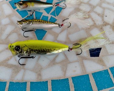 Megabass POPMAX couleur limitée neuve