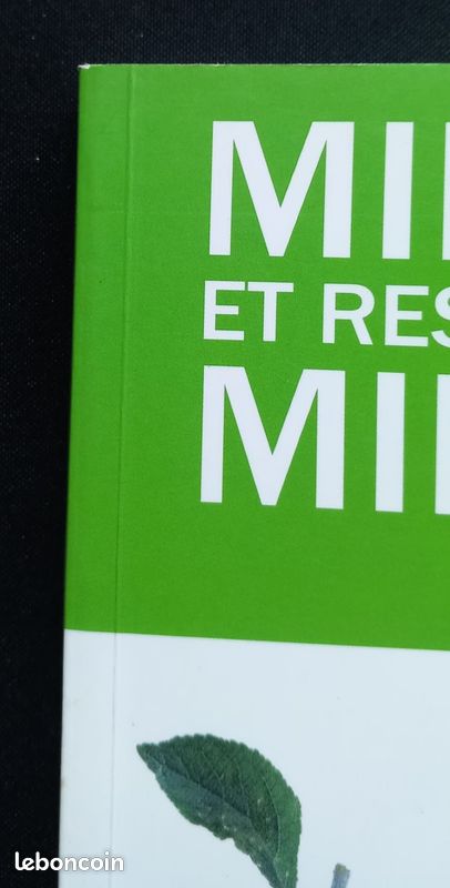 Mincir et rester mince – Céline Desvaux – Guide minceur – Méthode durable – Bon état (image 5)