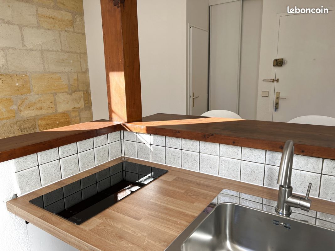 Appartement 1 pièce 20 m² - Bordeaux 33000 (image principale 5)