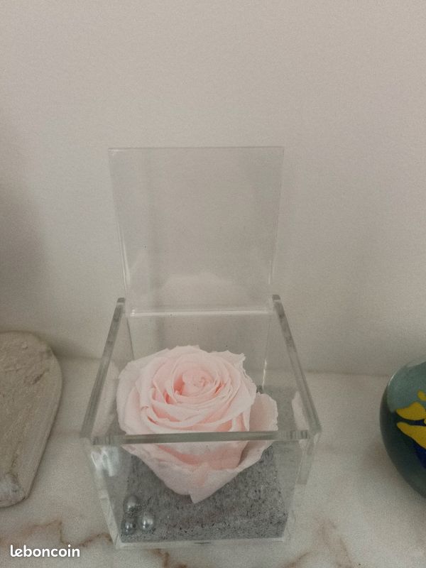 Rose éternelle en coffret (image 4)