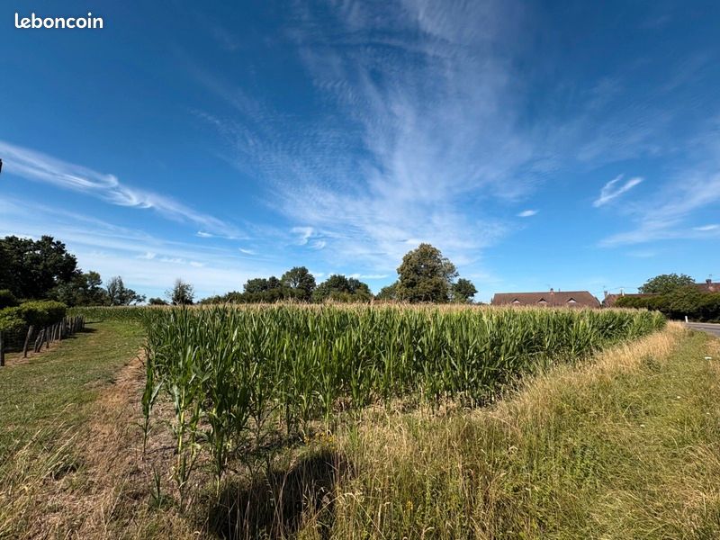 Terrain 9 020 m² Sens Sur Seille · à Sens-sur-Seille · 49 000 €