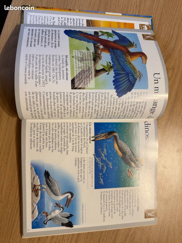 1 livre dinosaures et animaux disparus (image 2)