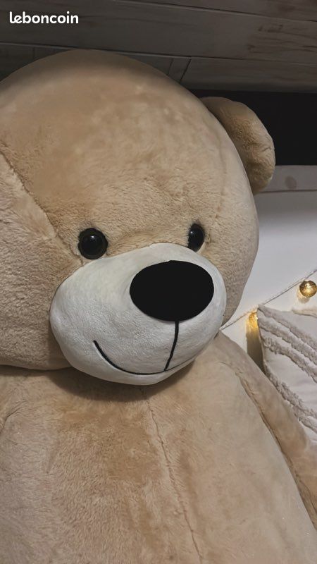 Ours en peluche (image 2)