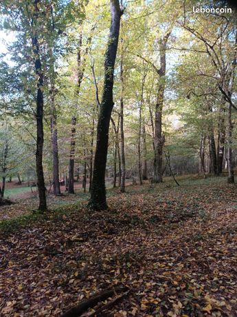 Parcelle de Bois de chêne sur Fieux 47600