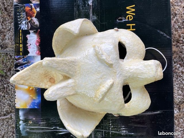 Masques de spectacle (image 8)