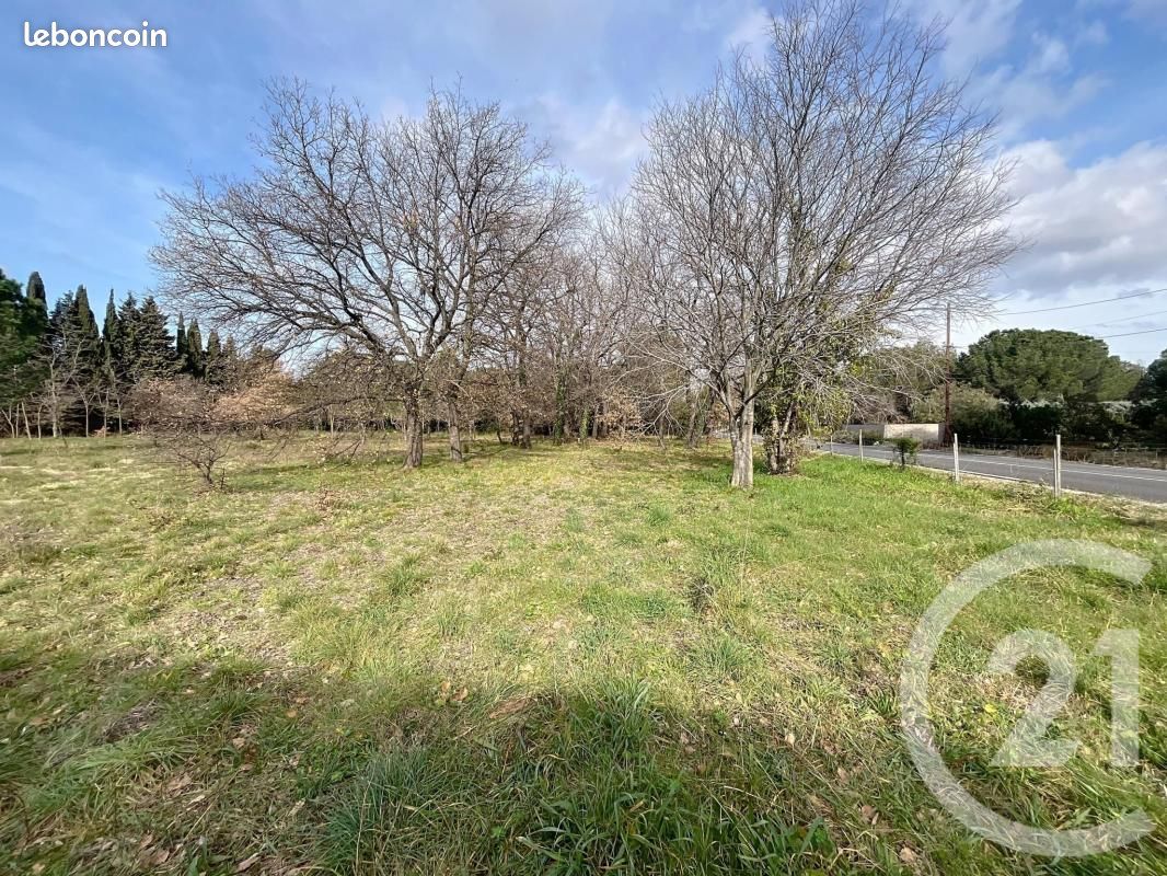 Terrain agricole 1 300 m² Montesquieu Des Alberes · à Montesquieu-des-Albères · 21 500 €