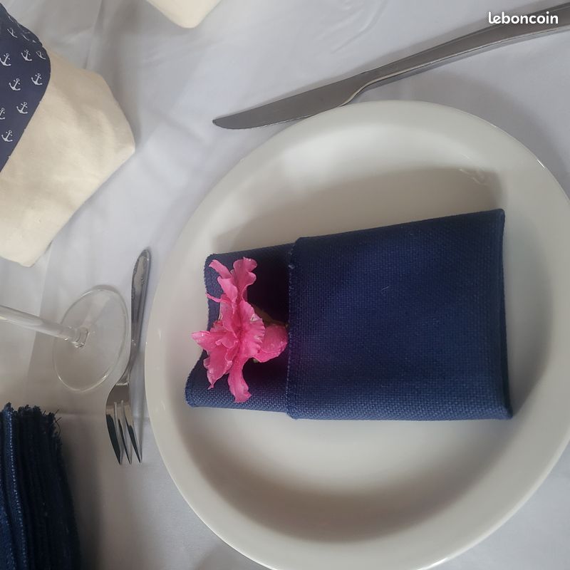 Lot nappes et serviettes (image 3)