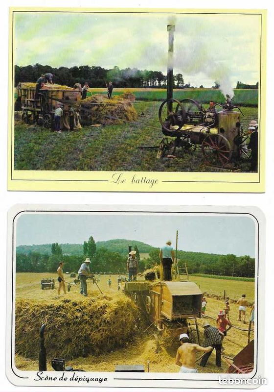 Scènes agricoles / BATTAGE, DEPIQUAGE de la moisson, fléau, batteuse : lot de 16 cartes postales différentes (image 6)