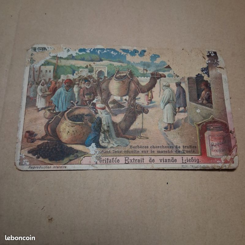 Image liebig berbères (image 1)