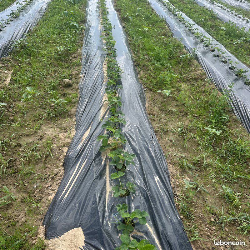 Terrain agricole à vendre · à Calonges · 360 000 €