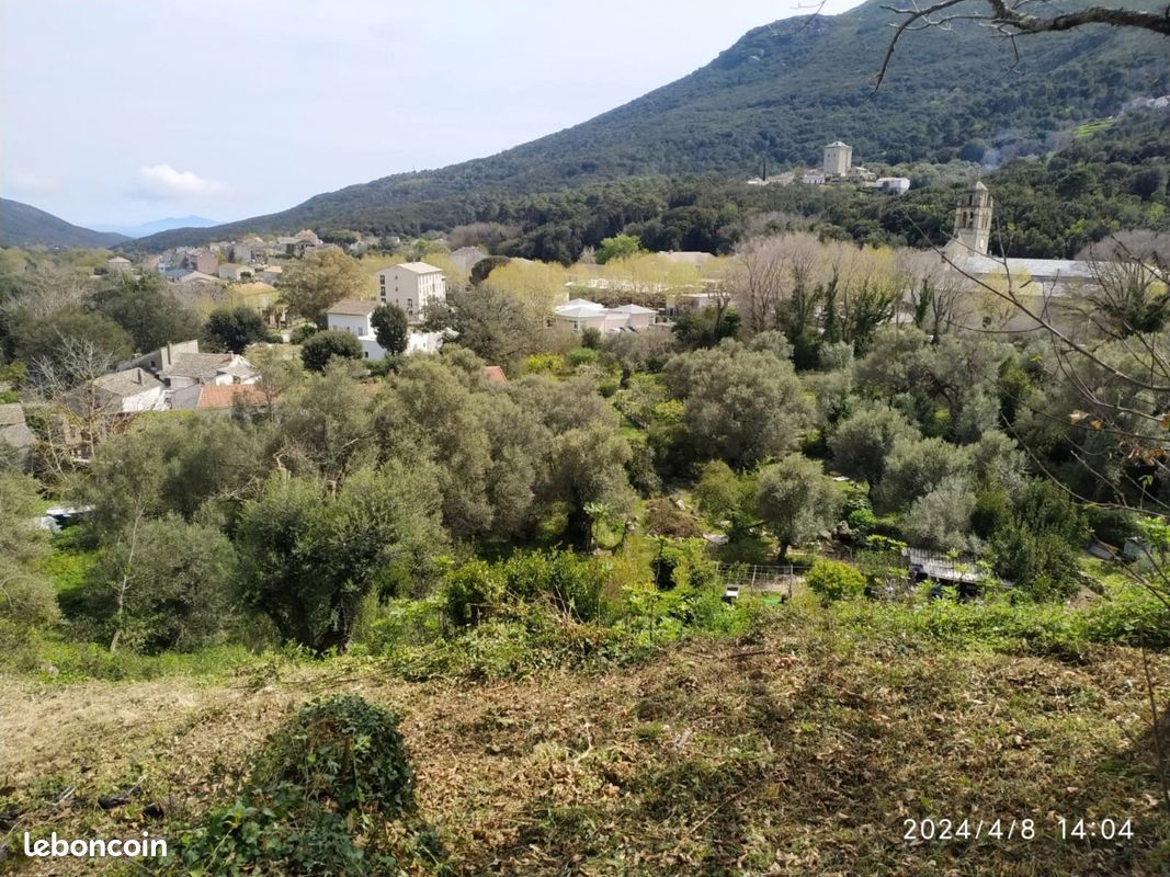 Très beau terrain constructible avec Certificat d'urbanisme opérationnel sur LURI, aperçu mer, Cap Corse à 30 kms de Bastia ·
