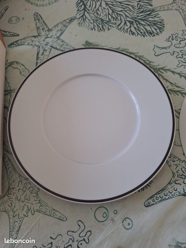Assiettes Guy degrenne 28cm (image 1)