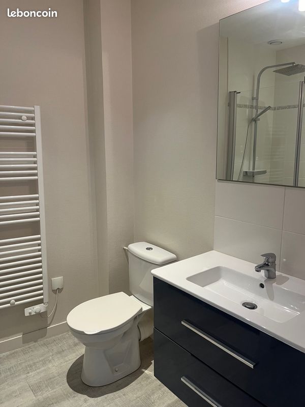 Beau studio de 23 m2 faubourg pont neuf libre - Poitiers 86000 (image principale 2)