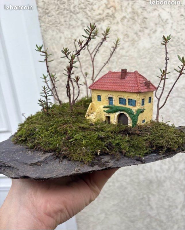 Paysage bonsai foret sur auge (image 3)