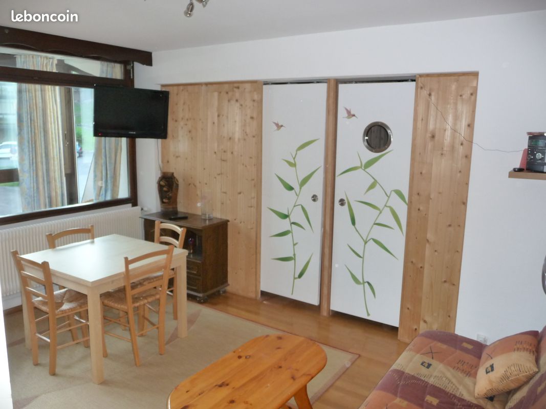 Location f3 aux pieds des pistes (image 7)