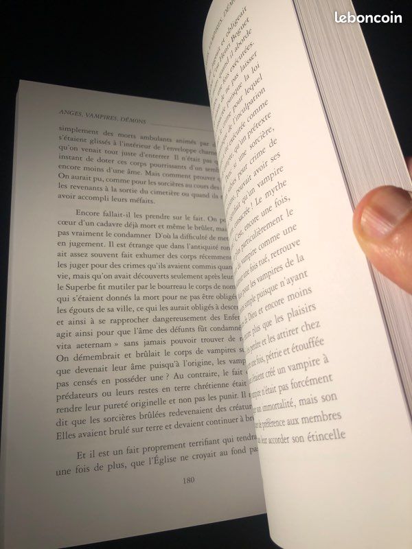 Livre Anges Vampires Démons Les combattants de l’ombre (image 4)