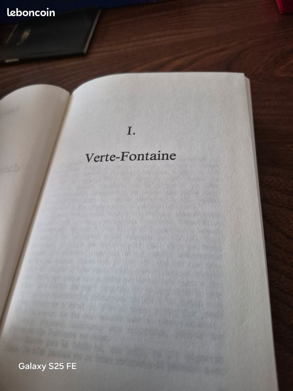 Roman Louison dans la douceur perdue (image 6)