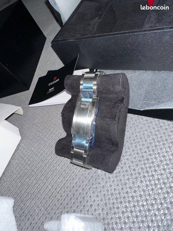 Tudor ranger (image 6)