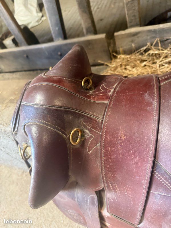 Selle Australienne En Cuir Premium - Stock Horse - Taille 14 à 18 Pouces - Neuve