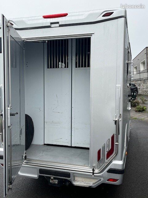Camion chevaux Renault – 2 places – TVA récupérable – Prix HT (si vente pro avec TVA) (image 3)